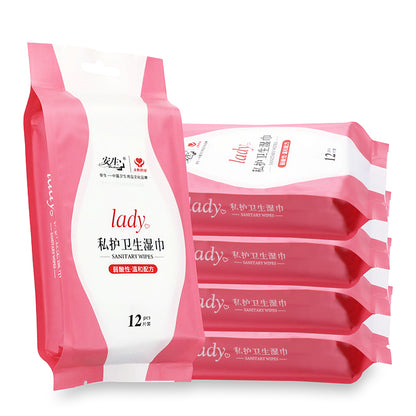 Sanitary Feminine Wipes – 12 Sheets & 25 Sheets (Pink Packaging)