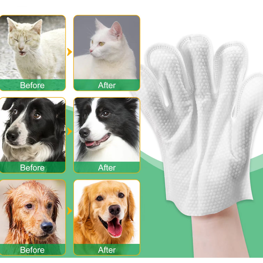 Pet Grooming Gloves – 6pcs Pack | OEM & Private Label Pet Wipes Manufacturer